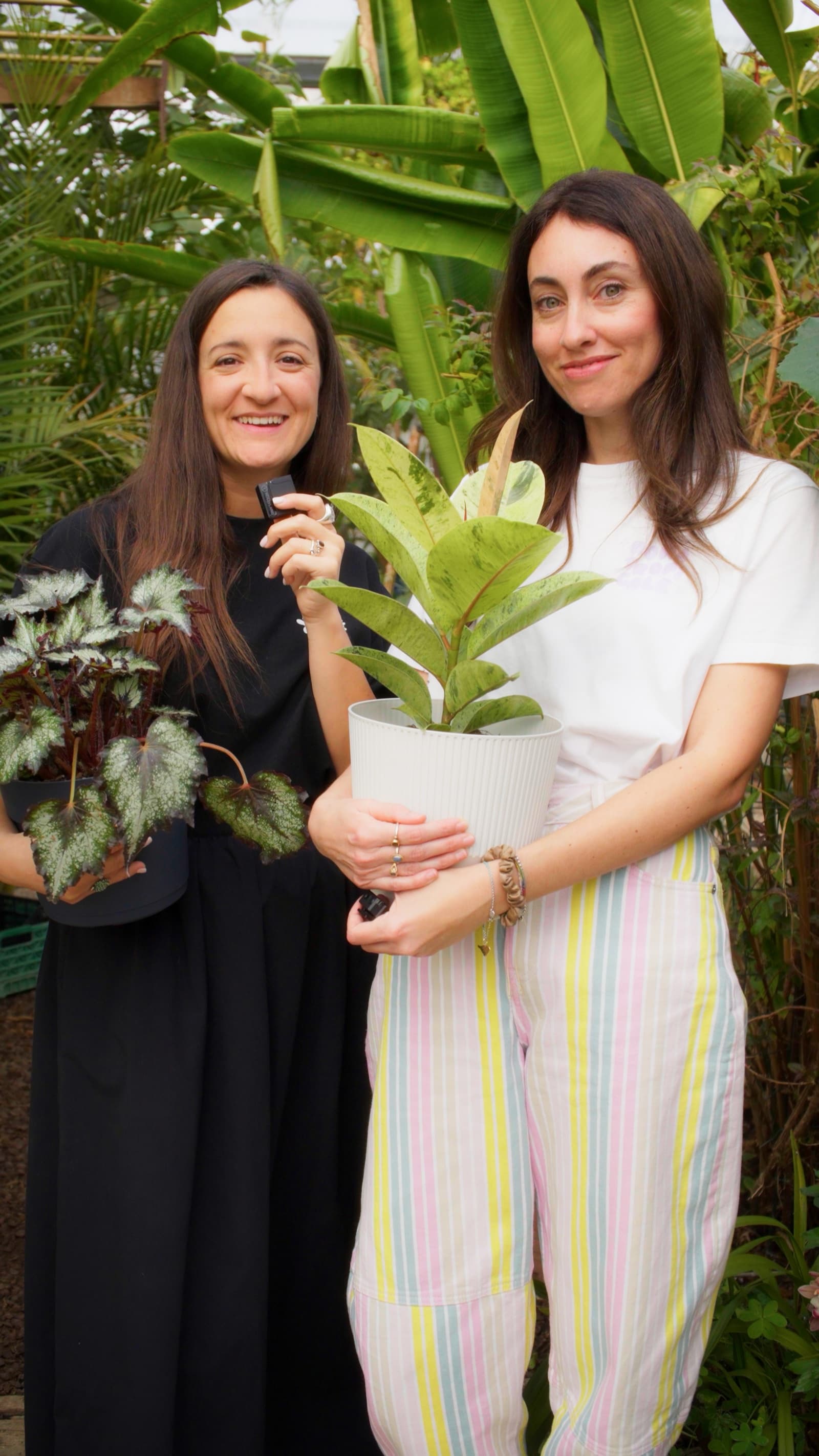 Team & Network Roma Tropicale