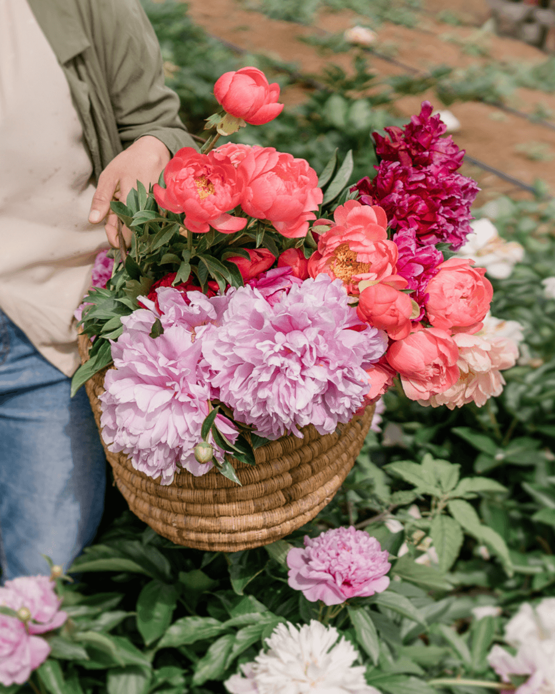 Il flower bar da Forno Ritorno (domenica 10:00-12:00)