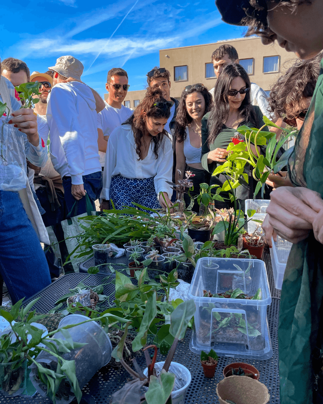 Plant Swap da Latta (sabato 18:00)