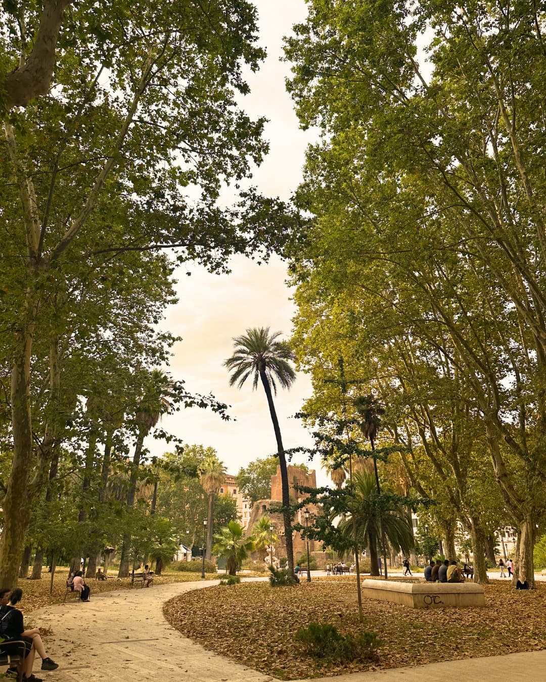 Visita botanica guidata (18:15-19:00)