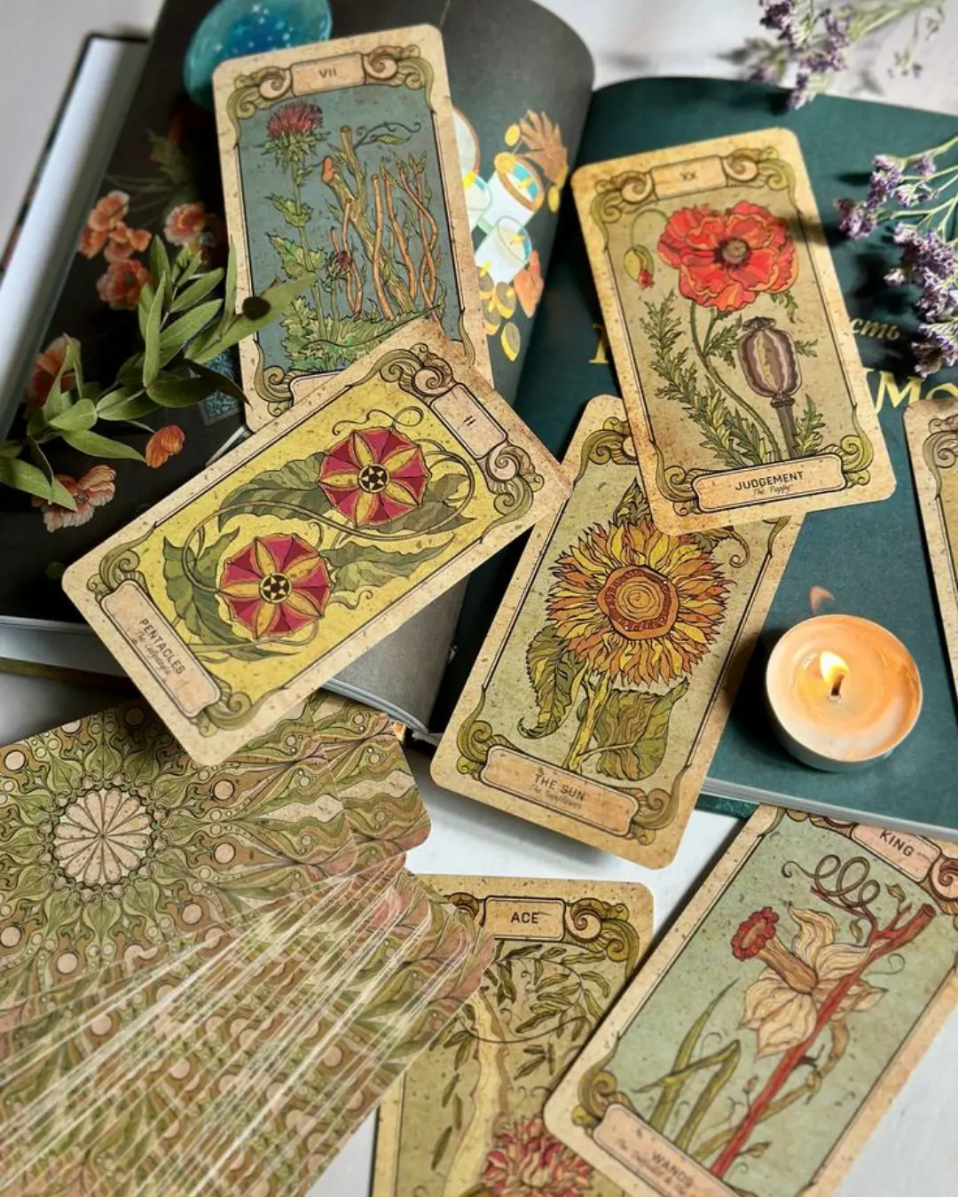 Tarocchi botanici (18:00-21:00)