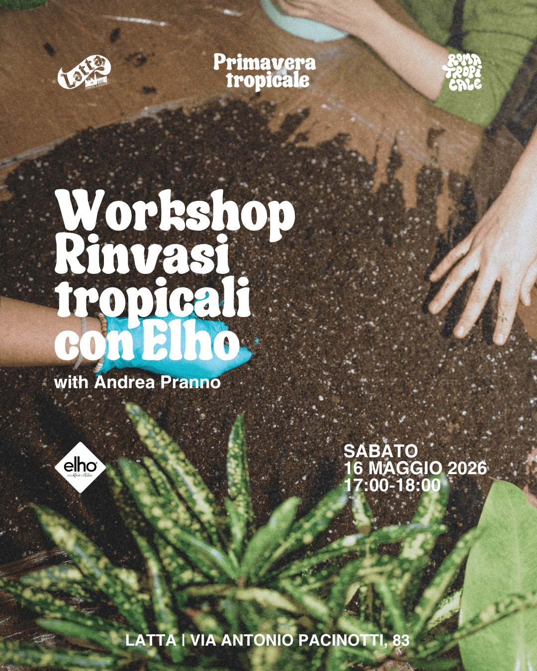 RINVASI TROPICALI WITH ELHO