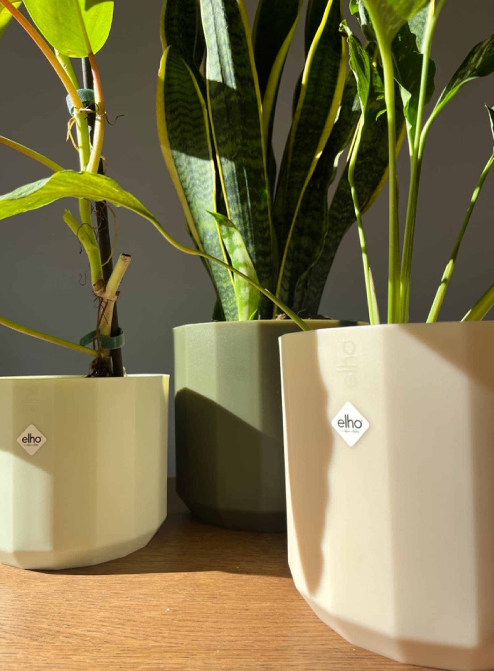 Spoiler: ci piacciono le cose fatte bene