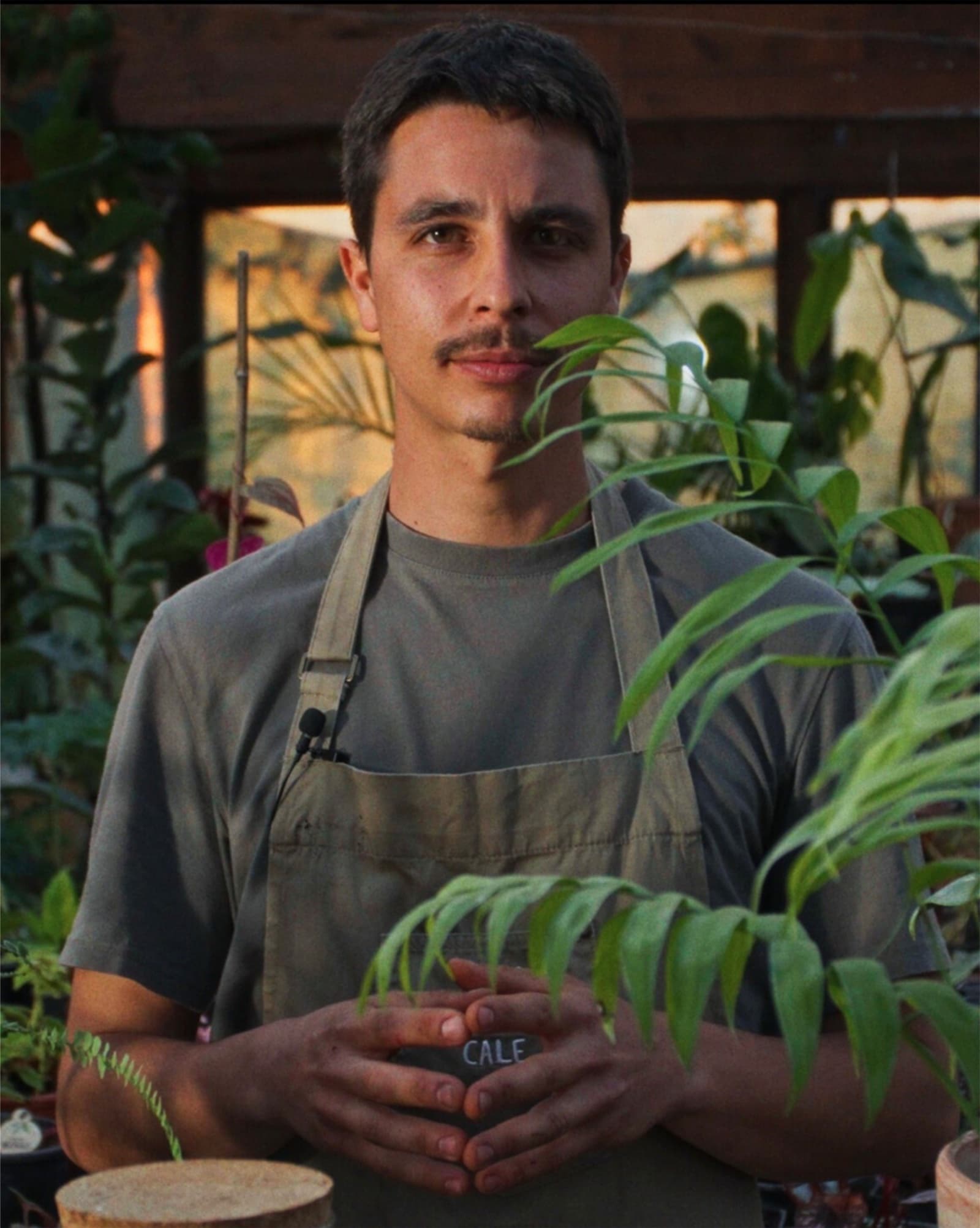 Coltiva il tuo pollice verde