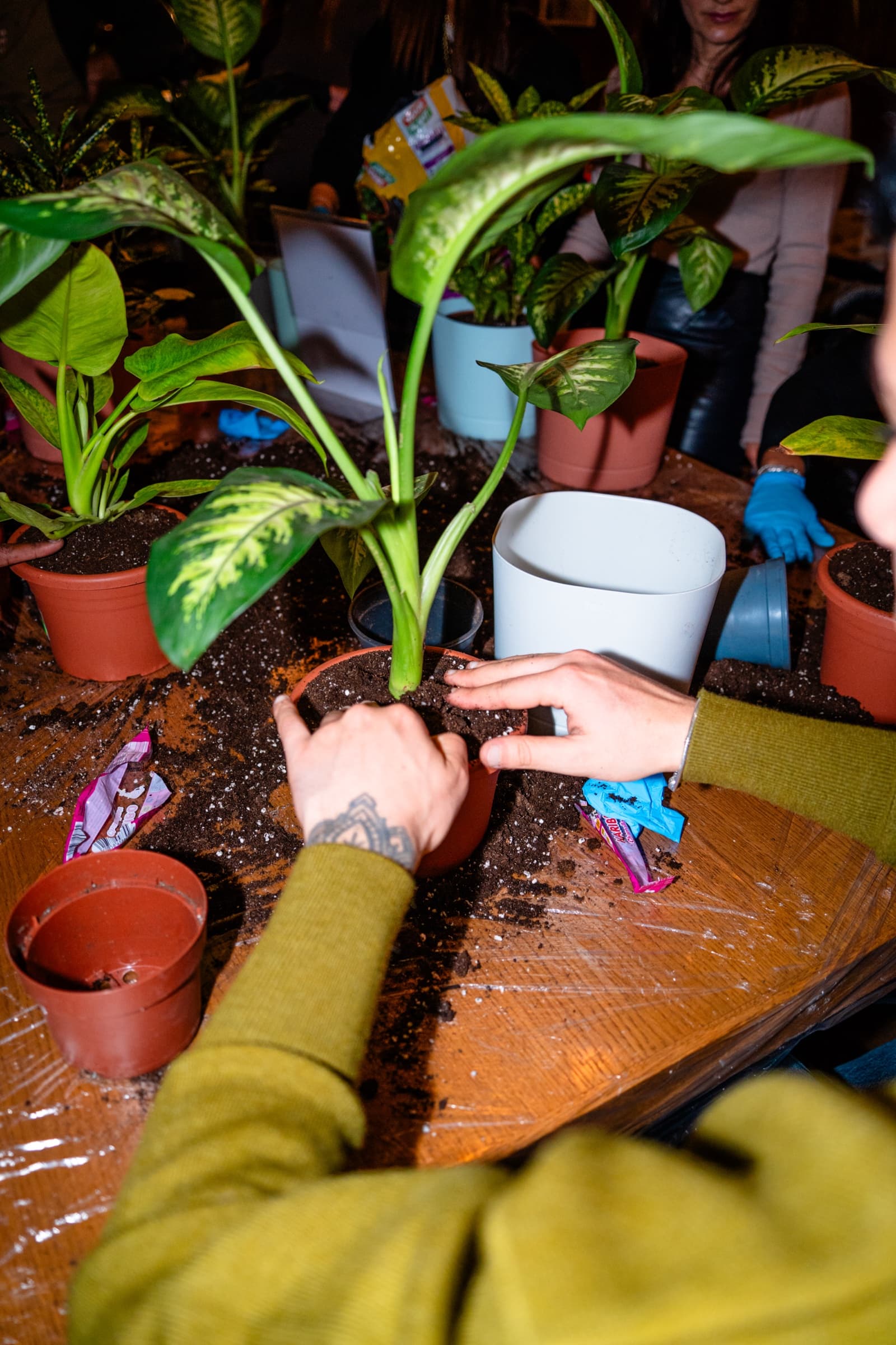 La tua tessera, sempre con te